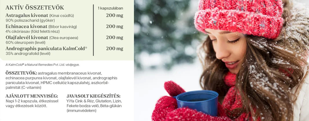 YiYa Astragalus & Echinacea, 60 capsule