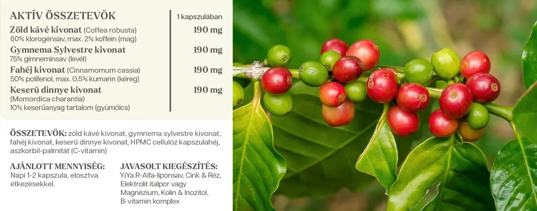 YiYa Green Coffee Complex, 60 capsule