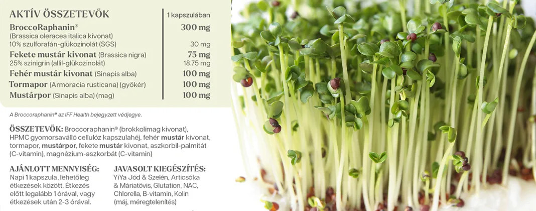 YiYa Sulforafan, 60 capsule – Molecula din germenii de broccoli cu efecte protectoare asupra celulelor și antitumorale!