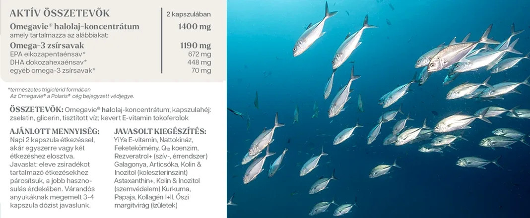 YiYa Ulei de Pește Omega-3 - KD-Pür®, 60 capsule - complex EPA/DHA de puritate farmaceutică!