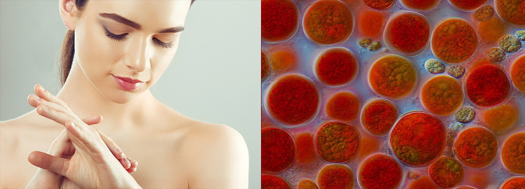 YiYa Astaxanthin, 50 ml - Cremă Calmantă și Regeneratoare 100% Naturală – Pentru Regenerarea Straturilor Profunde ale Pielii!