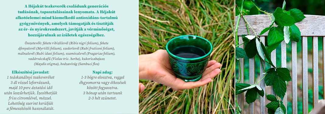 Amestec de ceai Héjakút 50 g, 30 portii – amestec de antioxidanți și flavonoide pt. susținerea calității sângelui