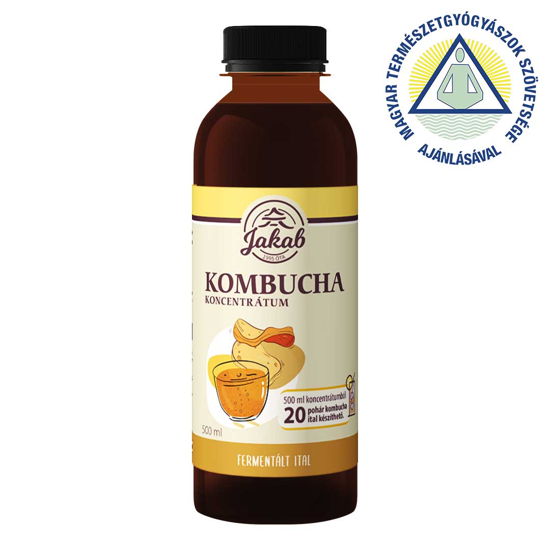 Concentrat  KOMBUCHA 0.5 l