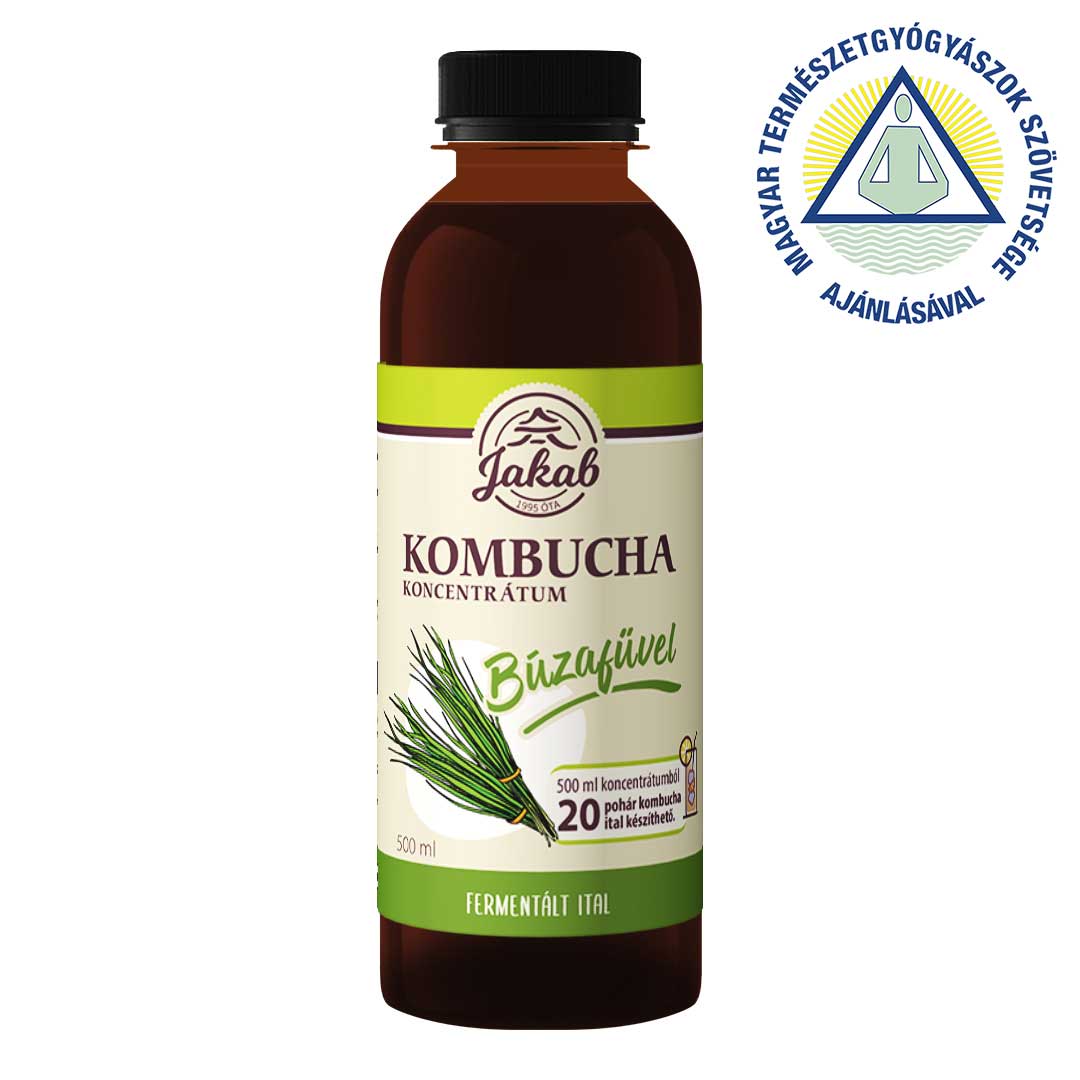 Concentrat  KOMBUCHA cu grau incoltit 500ml