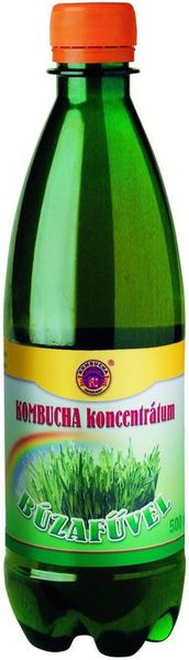 Concentrat  KOMBUCHA cu grau incoltit 500ml