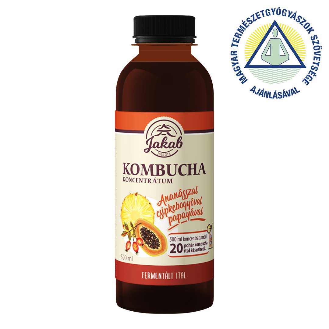 Concentrat  KOMBUCHA cu inulină, Vit C, ananas, papaya, măceșe 500ml 