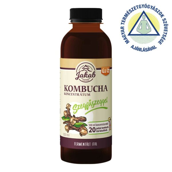 Concentrat  KOMBUCHA, cuișoare 500ml 