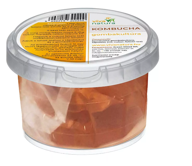 Cultură de ciupercă kombucha pentru prepararea ceaiului în casă