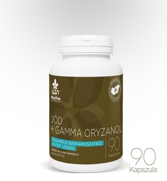 WTN IOD + GAMMA ORYZANOL 90 CAPS.