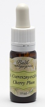 Bach 6 Cherry Plum (Corcodus)