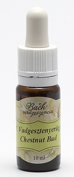 Bach 7 Chestnut Bud (Castan Salbatic)