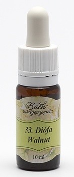 BACH 33  WALNUT (NUC)