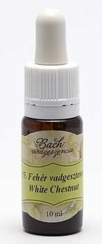 BACH 35  WHITE CHESTNUT ( CASTAN ALB)