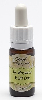 BACH 36 WILD OAT  ( OVĂZ SĂLBATIC )